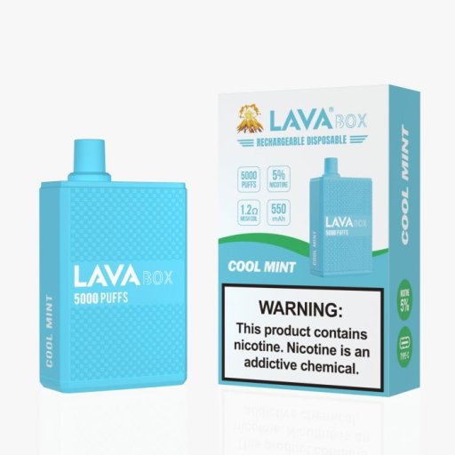 Lava Box Disposable 5% (Cool Mint - 5000 Puffs)